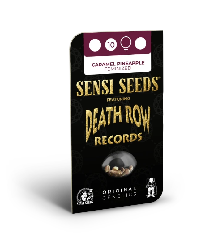 Caramel Pineapple Feminized (Sensi Seeds) – Produktbild des Herstellers