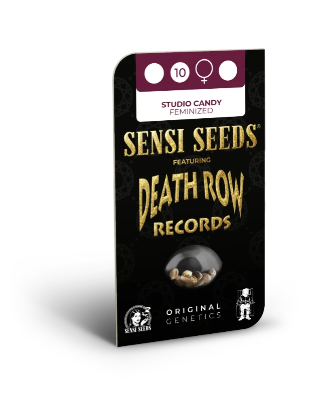Studio Candy Feminized (Sensi Seeds) – Produktbild des Herstellers
