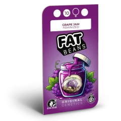 Grape Jam Feminized (Sensi Seeds) – Herstellerverpackung