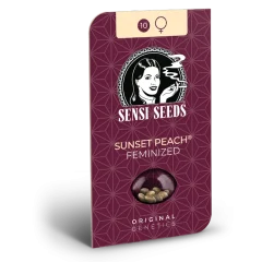 Sunset Peach Feminized (Sensi Seeds) – Herstellerverpackung