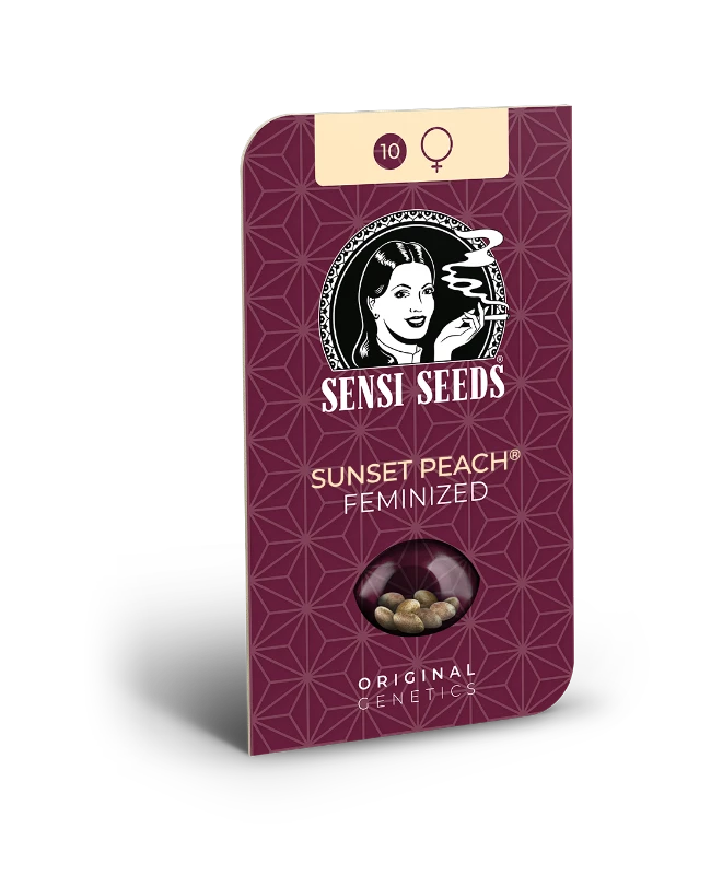 Sunset Peach Feminized (Sensi Seeds) – Produktbild des Herstellers