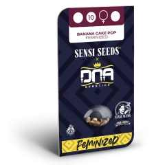 Banana Cake Pop Feminized (Sensi Seeds) – Herstellerverpackung