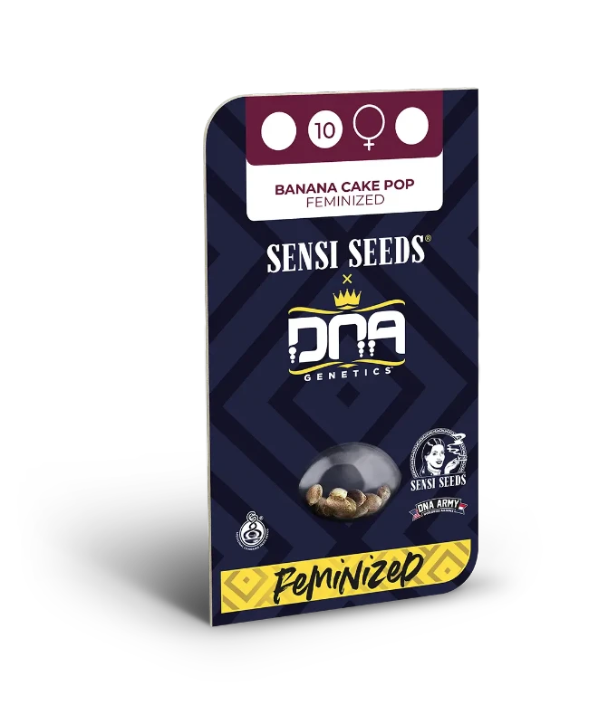 Banana Cake Pop Feminized (Sensi Seeds) – Produktbild des Herstellers