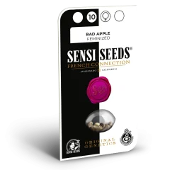 Bad Apple Feminized (Sensi Seeds) – Herstellerverpackung