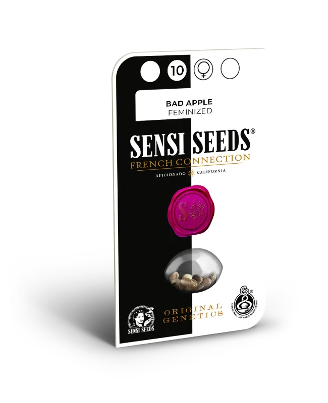 Bad Apple Feminized (Sensi Seeds) – Produktbild des Herstellers