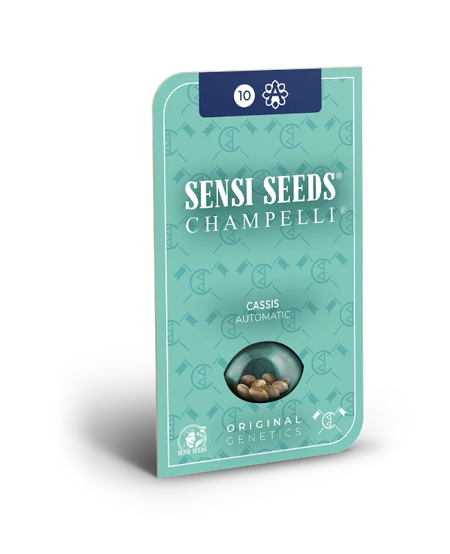 Cassis Automatic (Sensi Seeds) – Produktbild des Herstellers