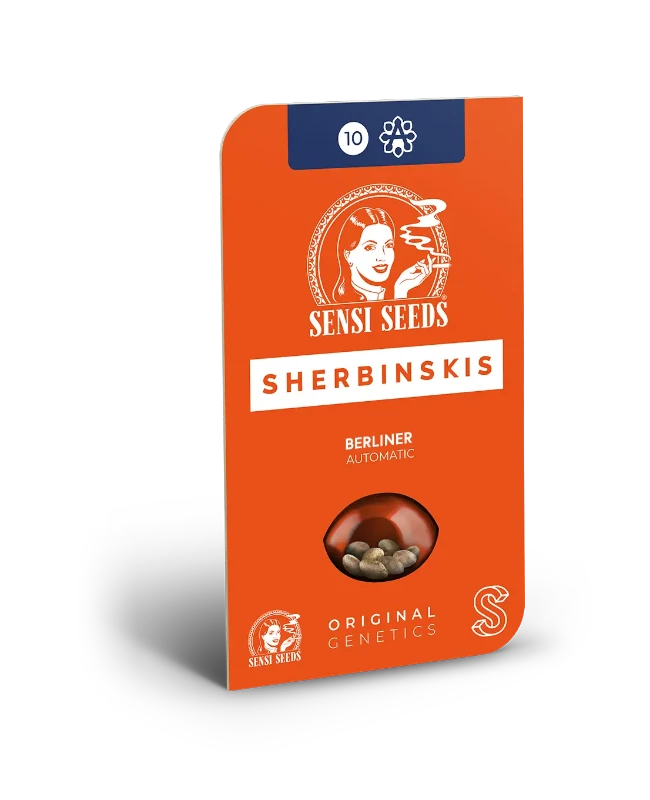 Berliner Automatic (Sensi Seeds) – Produktbild des Herstellers