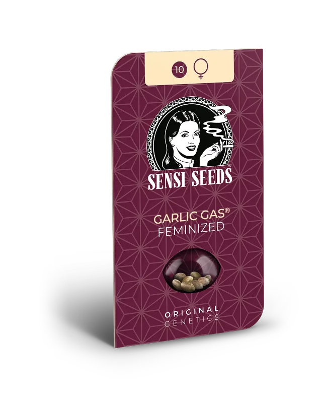Garlic Gas Feminized (Sensi Seeds) – Produktbild des Herstellers