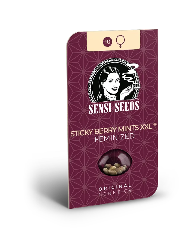 Sticky Berry Mints XXL Feminized (Sensi Seeds) – Produktbild des Herstellers