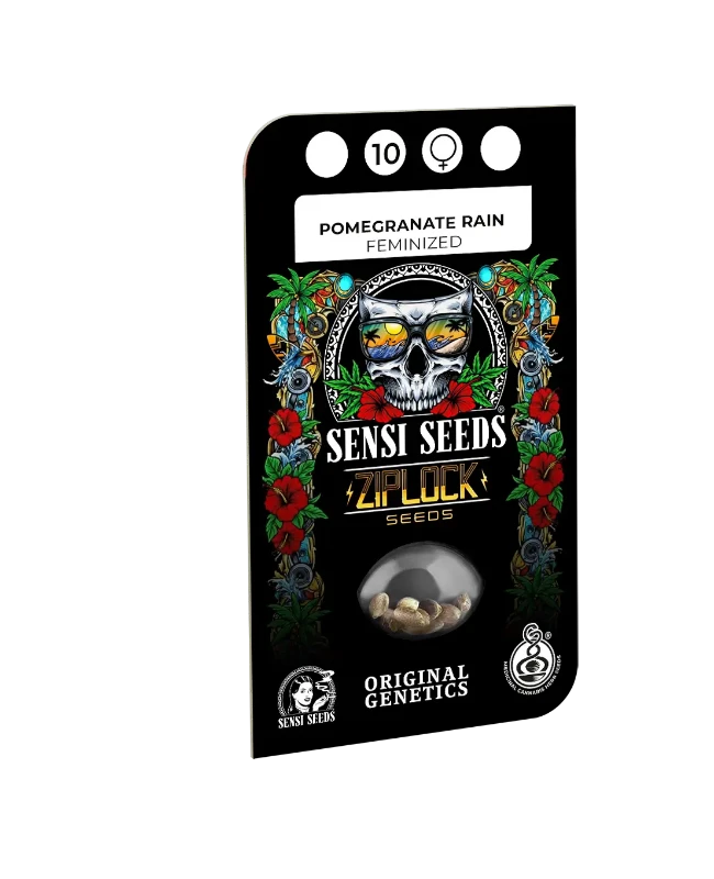 Pomegranate Rain Feminized (Ziplock) – Produktbild des Herstellers