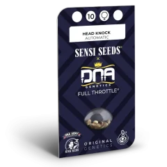 Head Knock Automatic (Sensi Seeds) – Herstellerverpackung