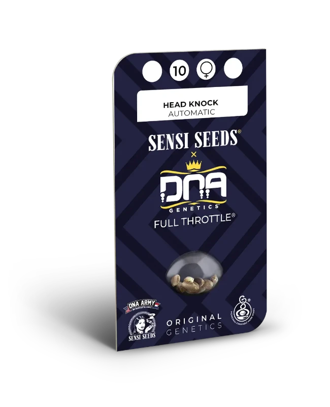Head Knock Automatic (Sensi Seeds) – Produktbild des Herstellers