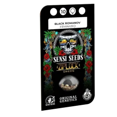 Black Romanov Feminized (Ziplock) – Herstellerverpackung