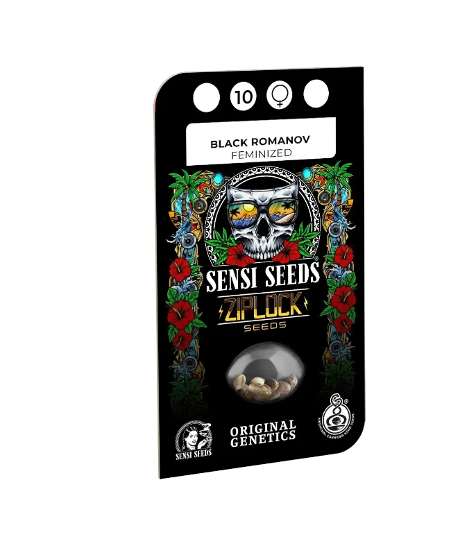 Black Romanov Feminized (Ziplock) – Produktbild des Herstellers