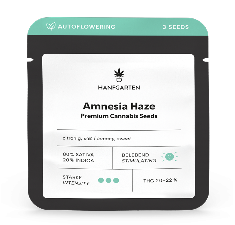 Amnesia Haze Automatic (Hanfgarten) – offizielles Produktbild