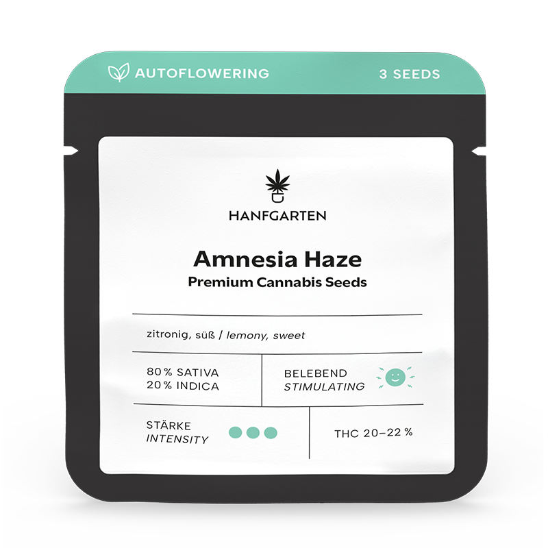 Amnesia Haze Automatic (Hanfgarten) – offizielles Produktbild