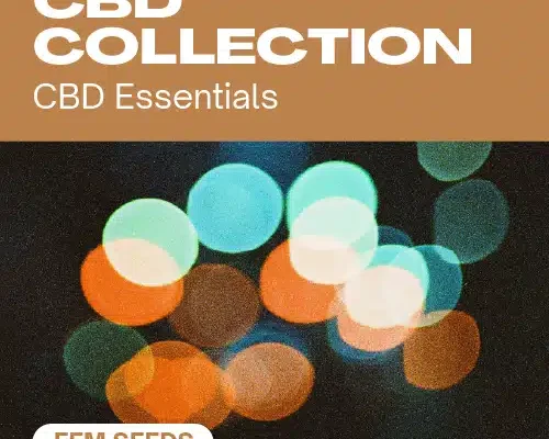 CBD-Kollektion (Blimburn Seeds) – offizielles Produktbild