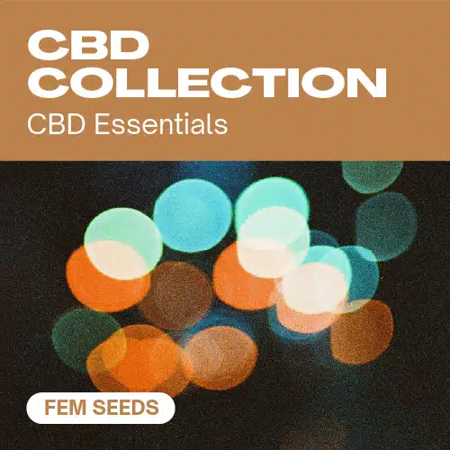 CBD-Kollektion (Blimburn Seeds) – offizielles Produktbild