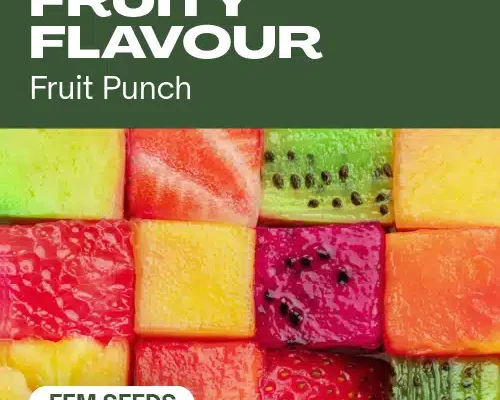 Fruchtiger Geschmack (Blimburn Seeds) – offizielles Produktbild