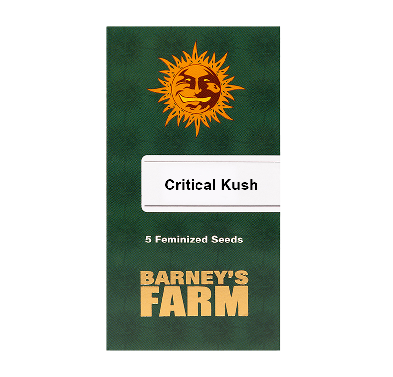 Critical Kush Feminisiert (Barney's Farm) – offizielles Produktbild