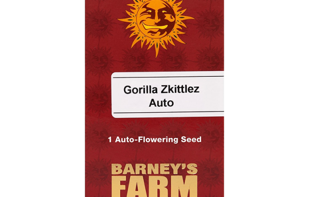 Gorilla Zkittlez Automatic (Barney's Farm) – offizielles Produktbild