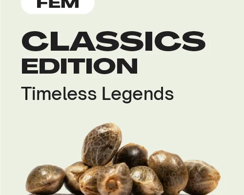 Classics Edition (Blimburn Seeds) – offizielles Produktbild