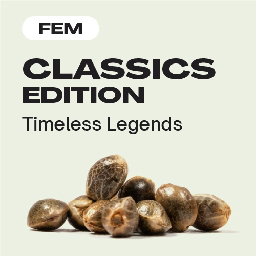 Classics Edition (Blimburn Seeds) – offizielles Produktbild