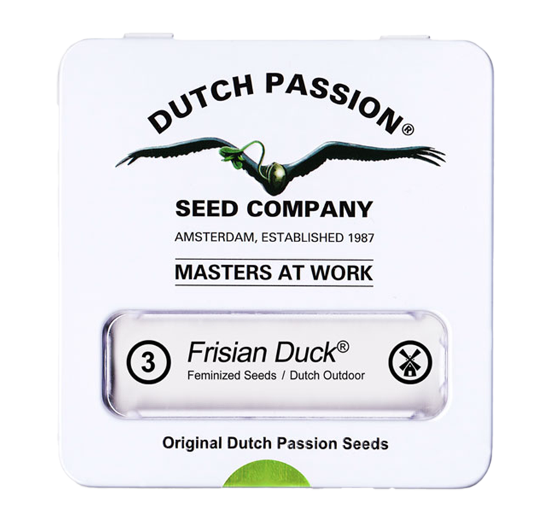 Frisian Duck Feminisiert (Dutch Passion) – offizielles Produktbild