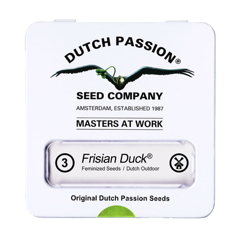 Frisian Duck Feminisiert (Dutch Passion) – offizielles Produktbild