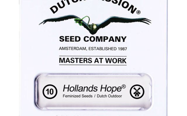 Hollands Hope Feminisiert (Dutch Passion) – offizielles Produktbild