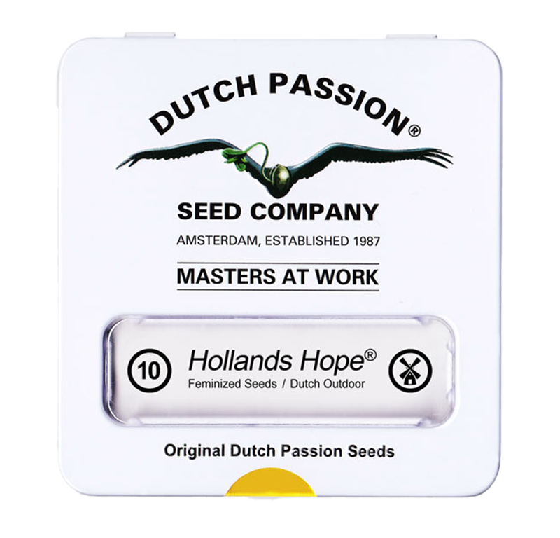 Hollands Hope Feminisiert (Dutch Passion) – offizielles Produktbild