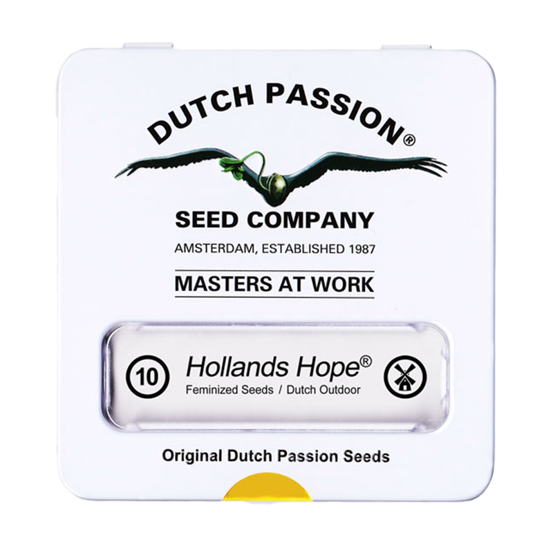 Hollands Hope Feminisiert (Dutch Passion) – offizielles Produktbild
