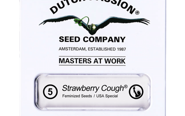 Strawberry Cough Feminisiert (Dutch Passion) – offizielles Produktbild