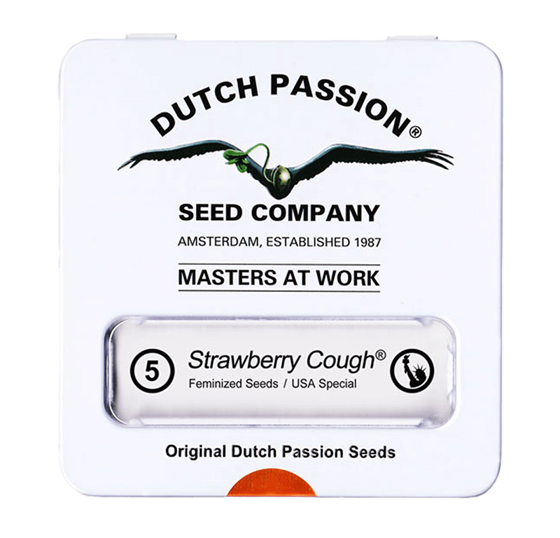 Strawberry Cough Feminisiert (Dutch Passion) – offizielles Produktbild