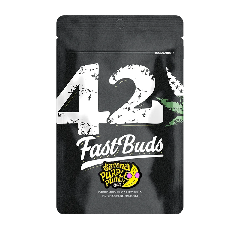 Banana Purple Punch Automatic (Fast Buds) – offizielles Produktbild