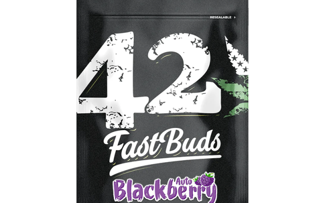 Blackberry Automatic (Fast Buds) – offizielles Produktbild