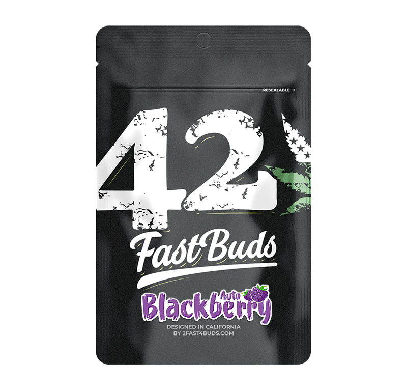 Blackberry Automatic (Fast Buds) – offizielles Produktbild