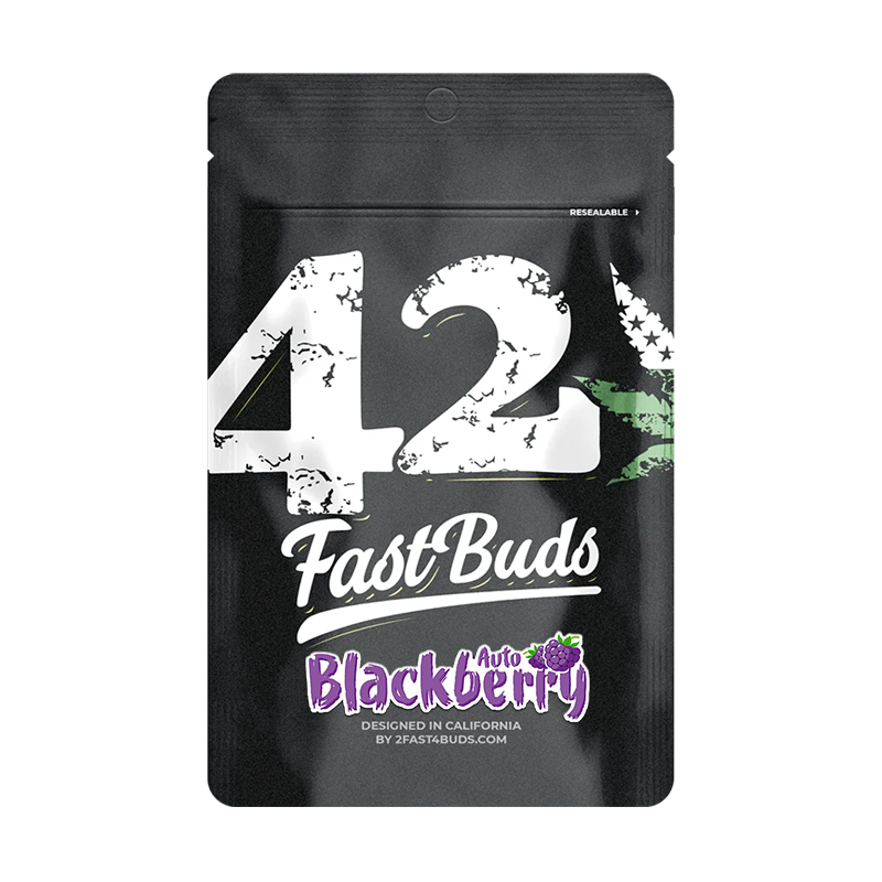 Blackberry Automatic (Fast Buds) – offizielles Produktbild