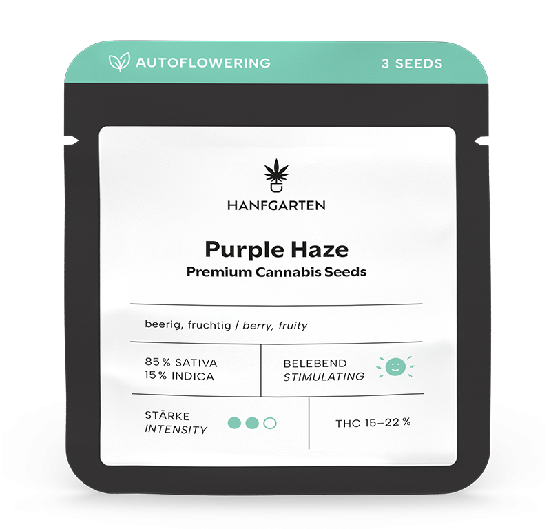 Purple Haze Automatic (Hanfgarten) – offizielles Produktbild