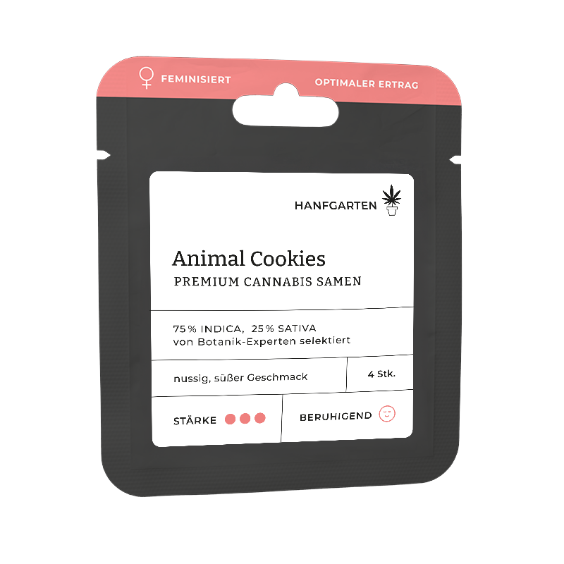 Animal Cookies Feminisiert (Hanfgarten) – offizielles Produktbild