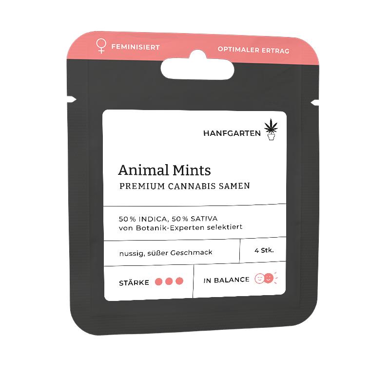 Animal Mints Feminisiert (Hanfgarten) – offizielles Produktbild