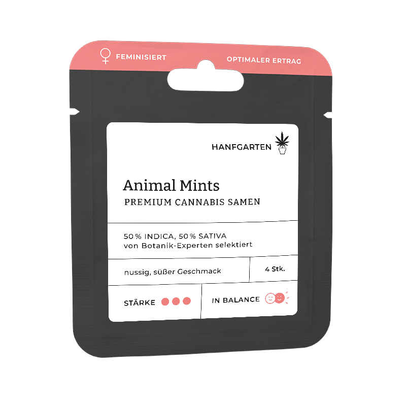 Animal Mints Feminisiert (Hanfgarten) – offizielles Produktbild