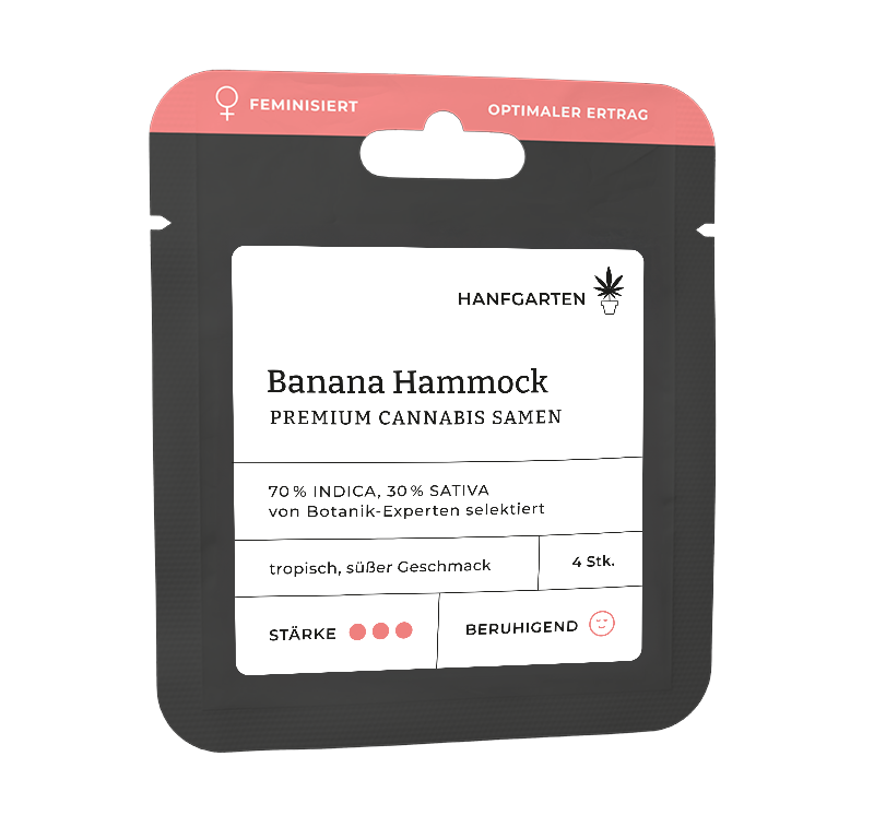 Banana Hammock Feminisiert (Hanfgarten) – offizielles Produktbild
