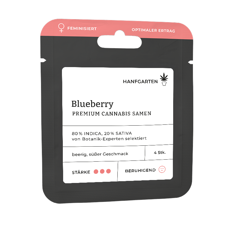Blueberry Feminisiert (Hanfgarten) – offizielles Produktbild