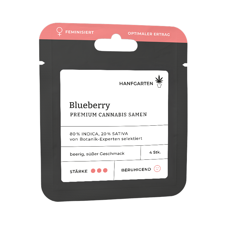 Blueberry Feminisiert (Hanfgarten) – offizielles Produktbild