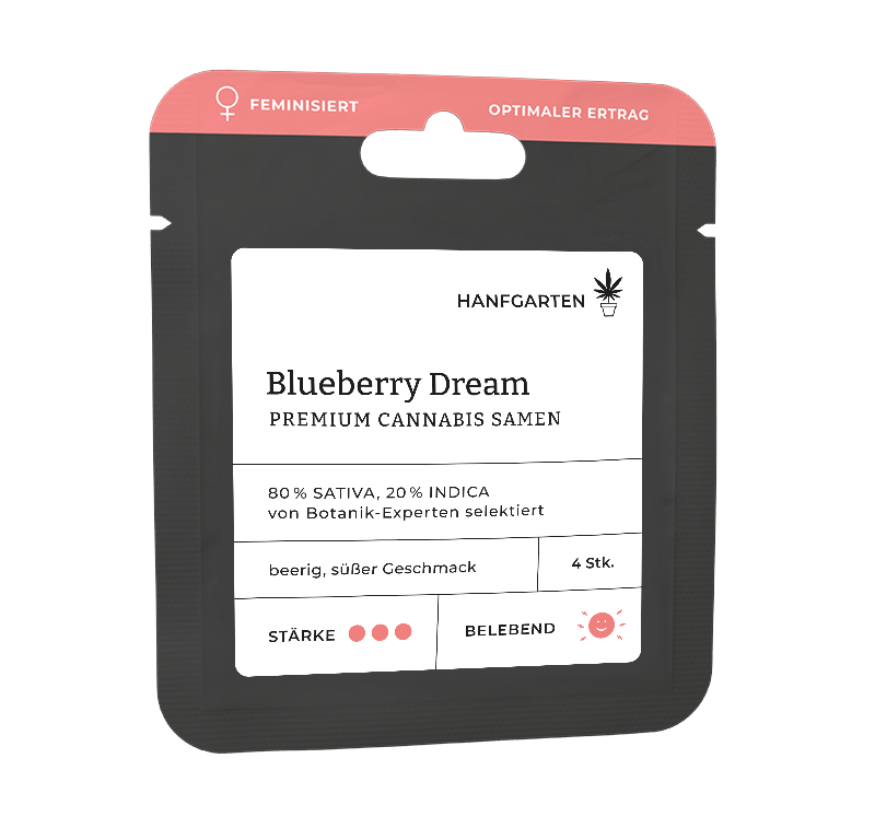 Blueberry Dream Feminisiert (Hanfgarten) – offizielles Produktbild