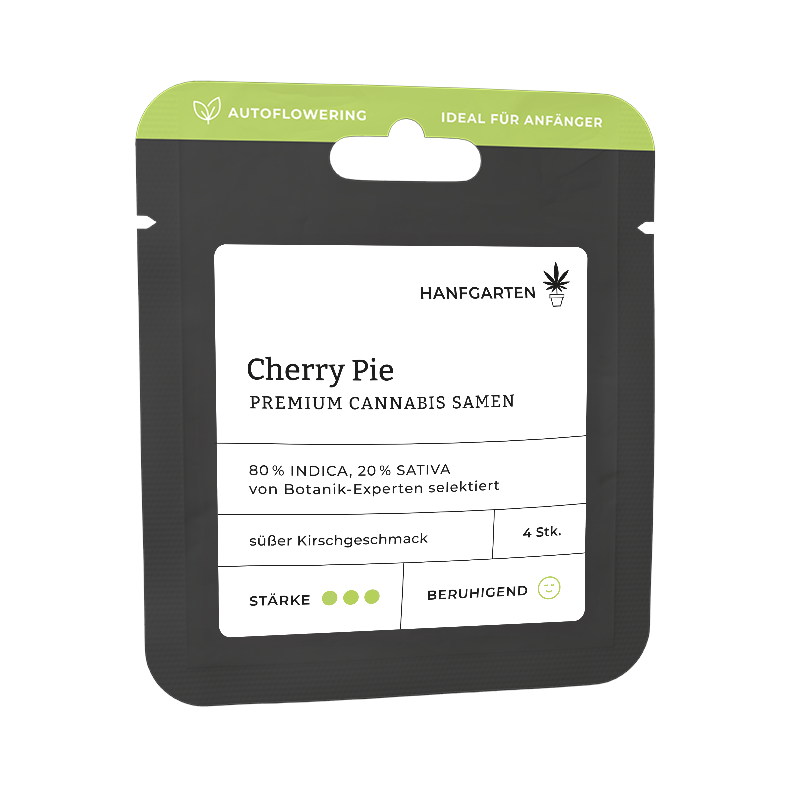 Cherry Pie Automatic (Hanfgarten) – offizielles Produktbild