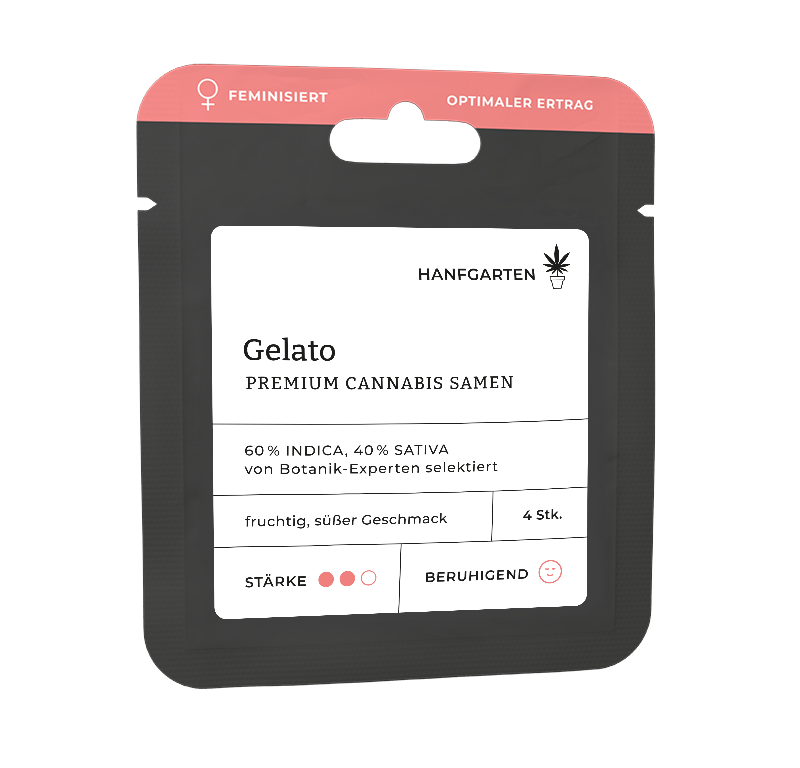 Gelato Feminisiert (Hanfgarten) – offizielles Produktbild