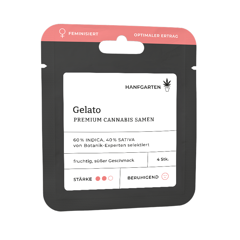 Gelato Feminisiert (Hanfgarten) – offizielles Produktbild