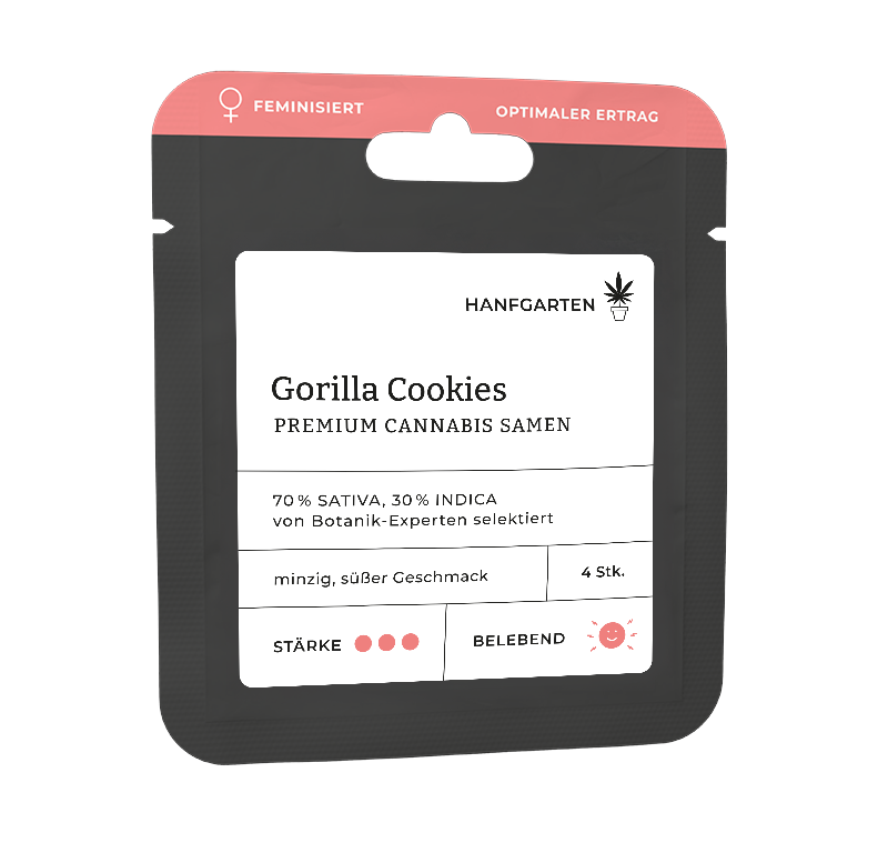 Gorilla Cookies Feminisiert (Hanfgarten) – offizielles Produktbild